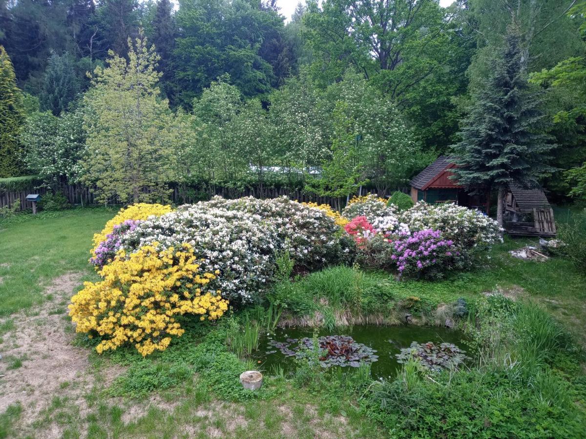 Domek Pod Smielcem Jagniątków Exteriér fotografie